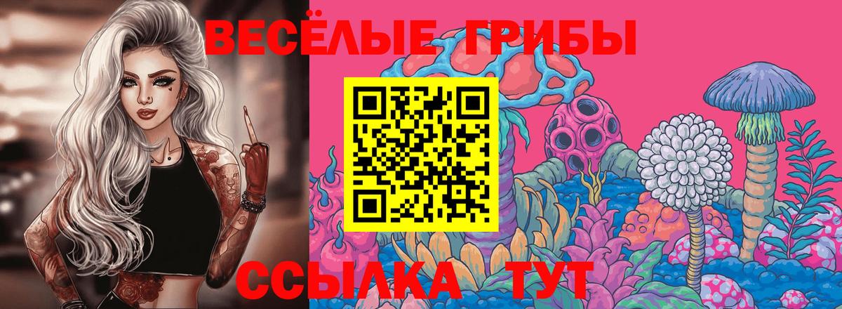 Троицк  Галлюциногенные грибы Magic Shrooms  Вход с VPN 