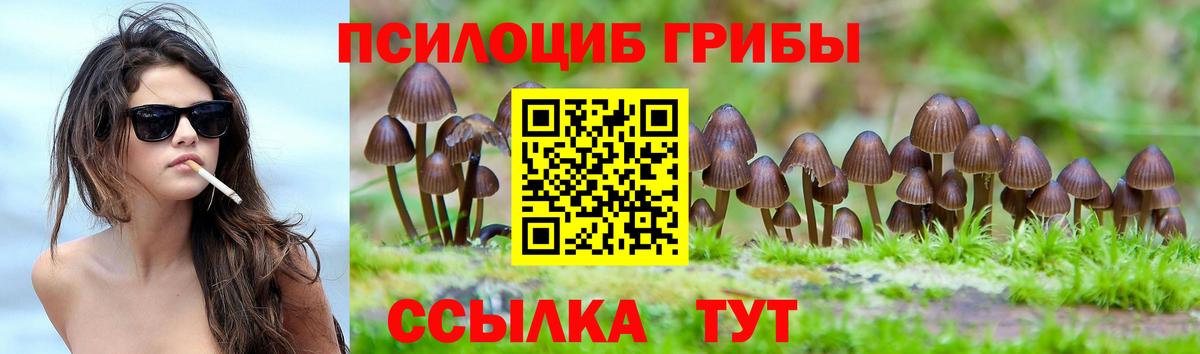 Псилоцибиновые грибы Magic Shrooms Троицк